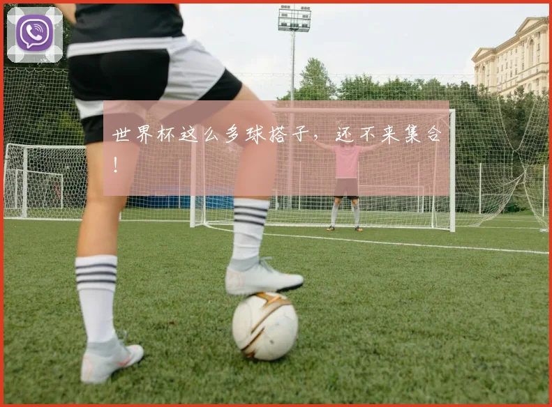 世界杯这么多球搭子，还不来集合！