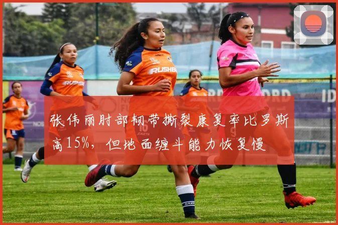 张伟丽肘部韧带撕裂康复率比罗斯高15%，但地面缠斗能力恢复慢